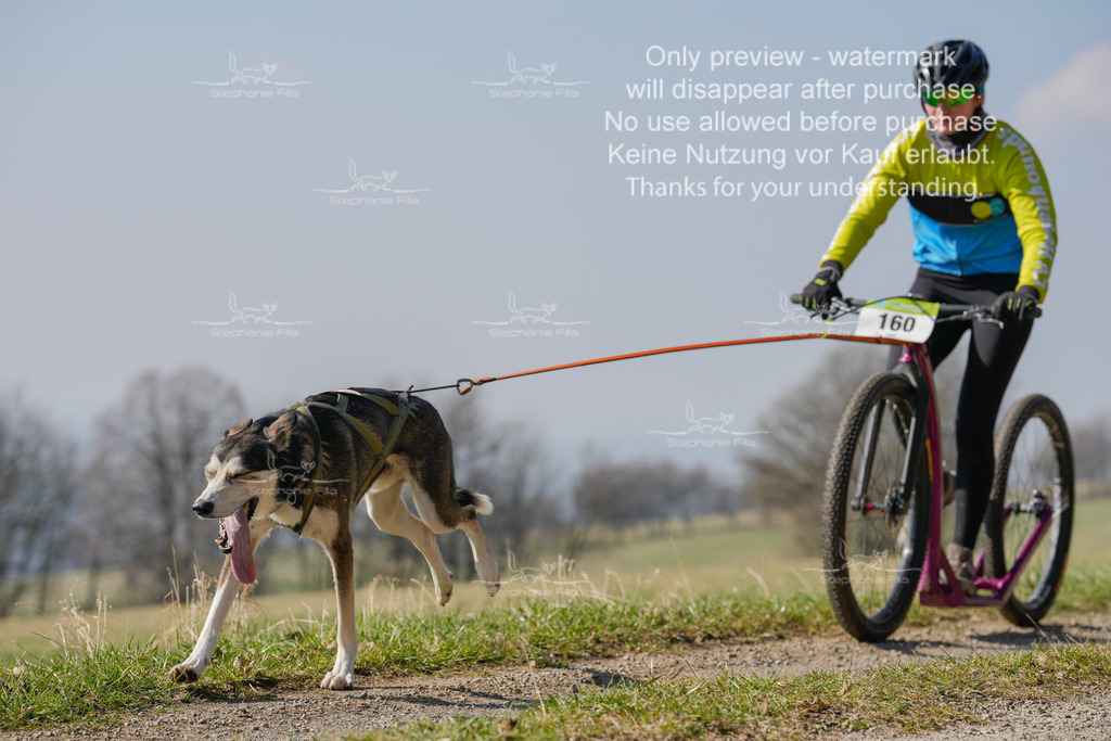 Scooter_Lang-129 | stephaniefillaphotographie - Realisiert mit Pictrs.com