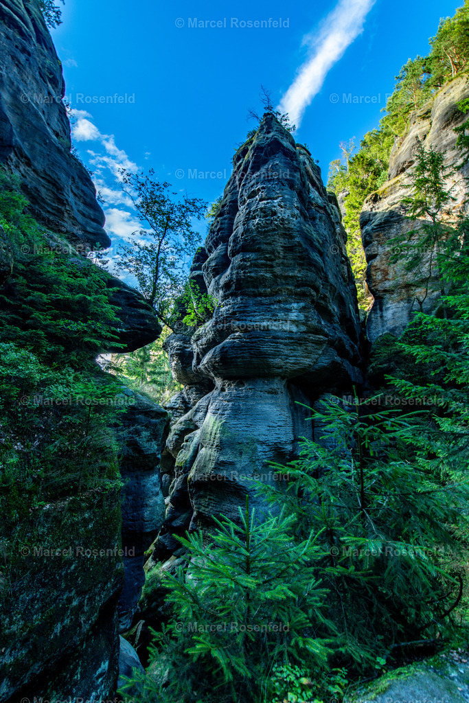 _DSC7382 | foto-rosenfeld