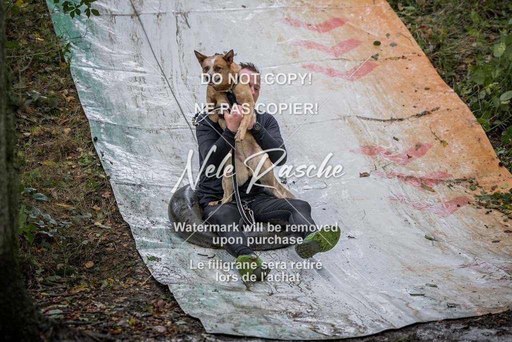 nelerasche_Hunsrück_Sa0930-1000_433-final | nelerasche