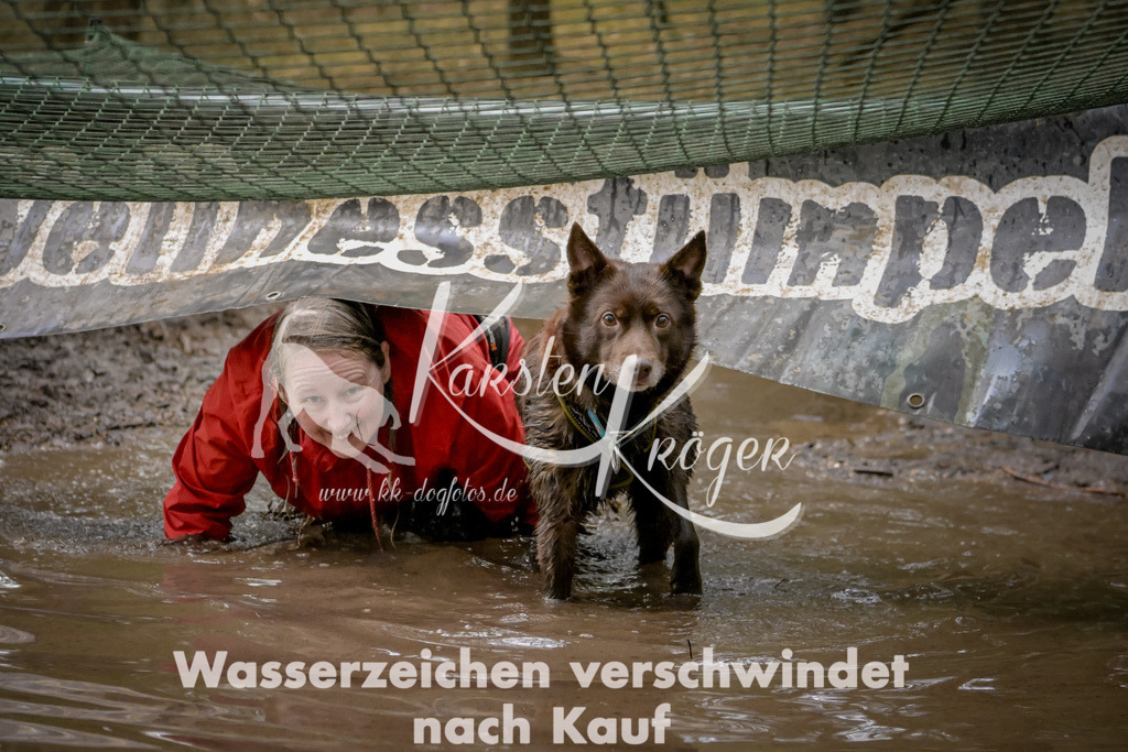 1037_ZZ91667 | kk-dogfotos
