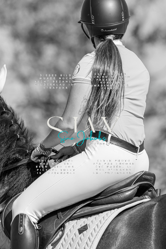 IMG_0880 | s-jay-photography - Realisiert mit Pictrs.com