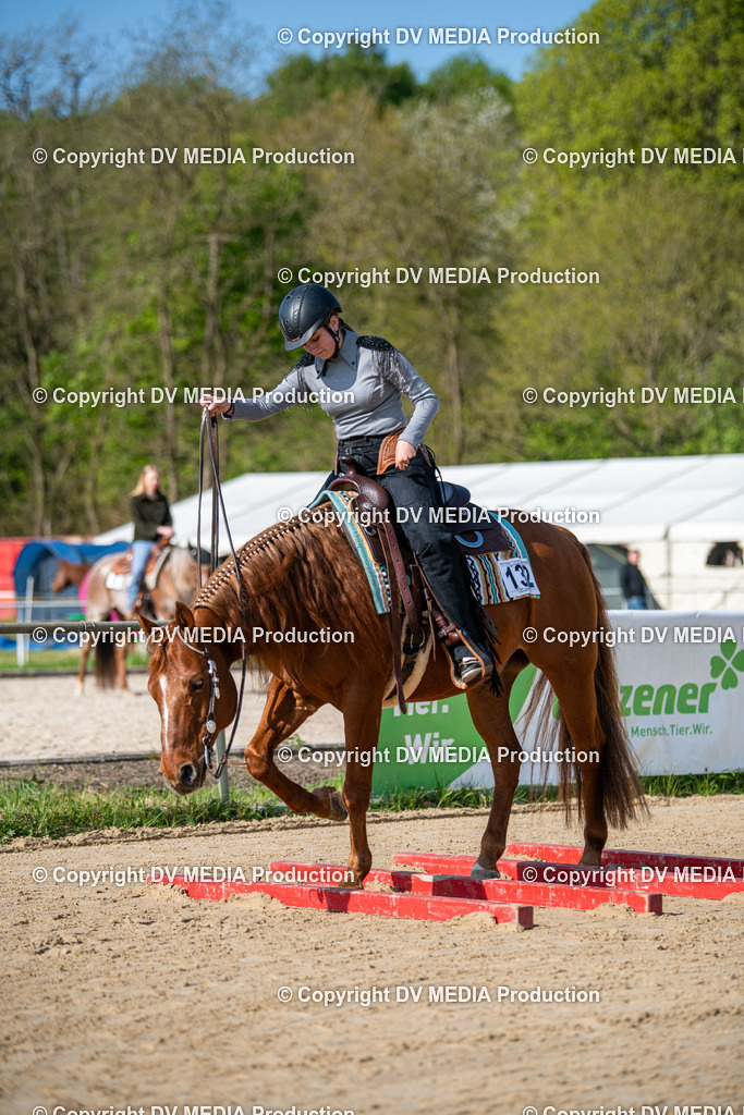 Heiligenwald Tag 2-523 | dv-media-shop - Realisiert mit Pictrs.com