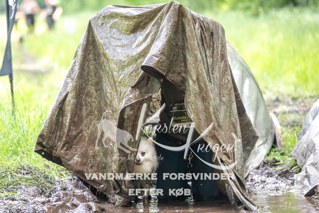 1227_ZZ92289 | kk-dogfotos