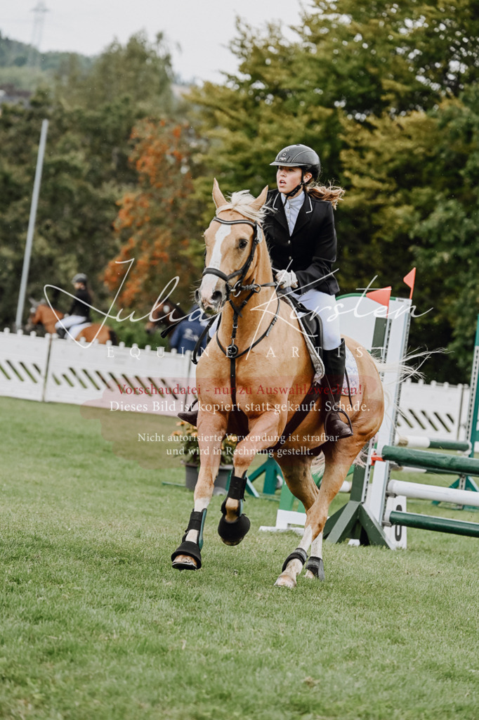 DSC_6892 | Pferde- und Turnierfotografie in Westsachsen. Pferdeportraits, Auftragszeichnungen und intuitive Kunst.