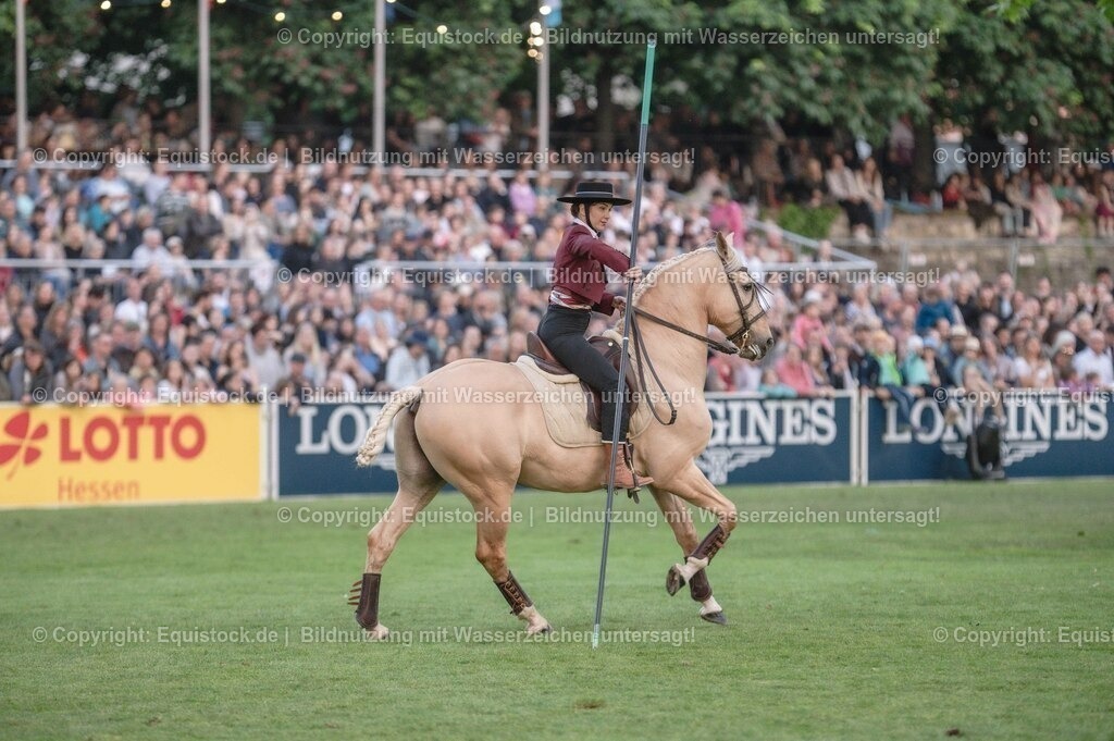 20230526_Pferdenacht_0684 | equistock