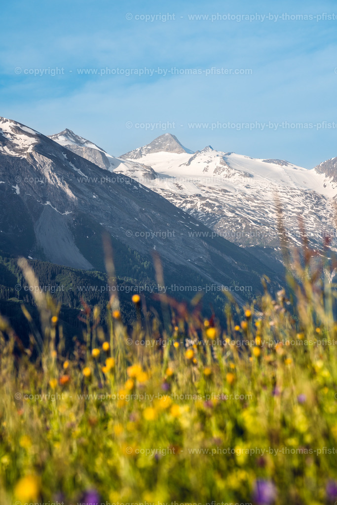 Lämmerbichl Tux im Frühling copyright  Thomas Pfister-1 | PHOTOGRAPHY BY THOMAS PFISTER
