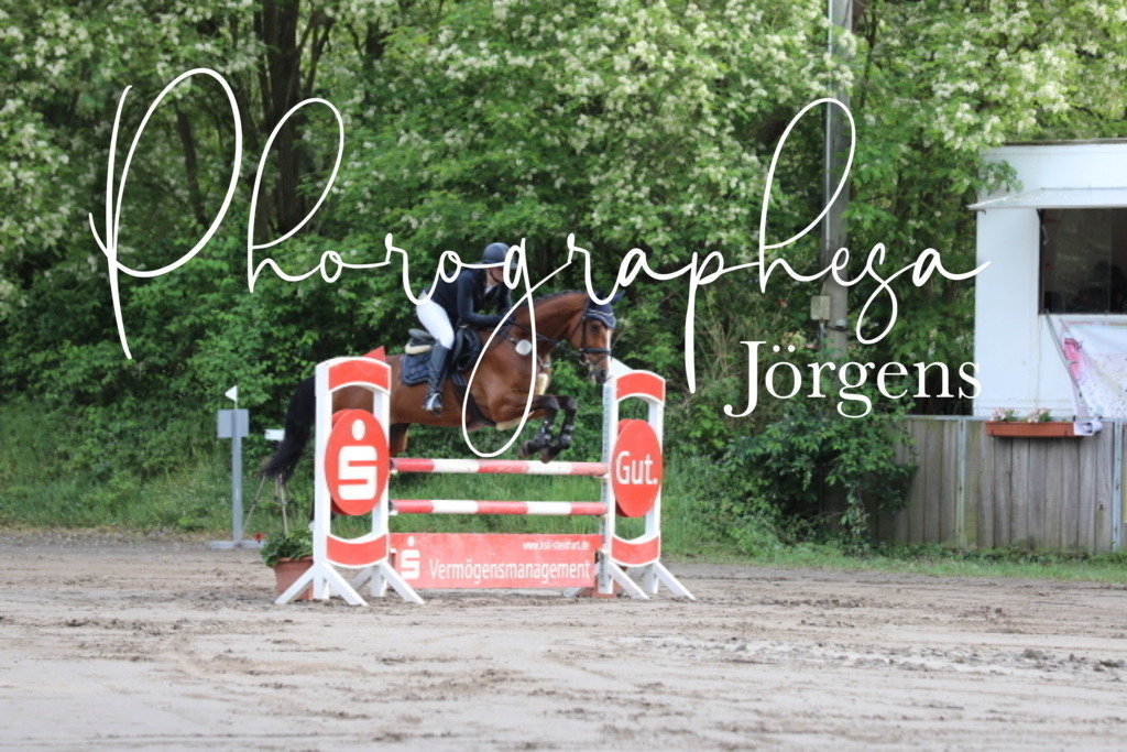 IMG_9043 | photographesa-joergens - Realisiert mit Pictrs.com