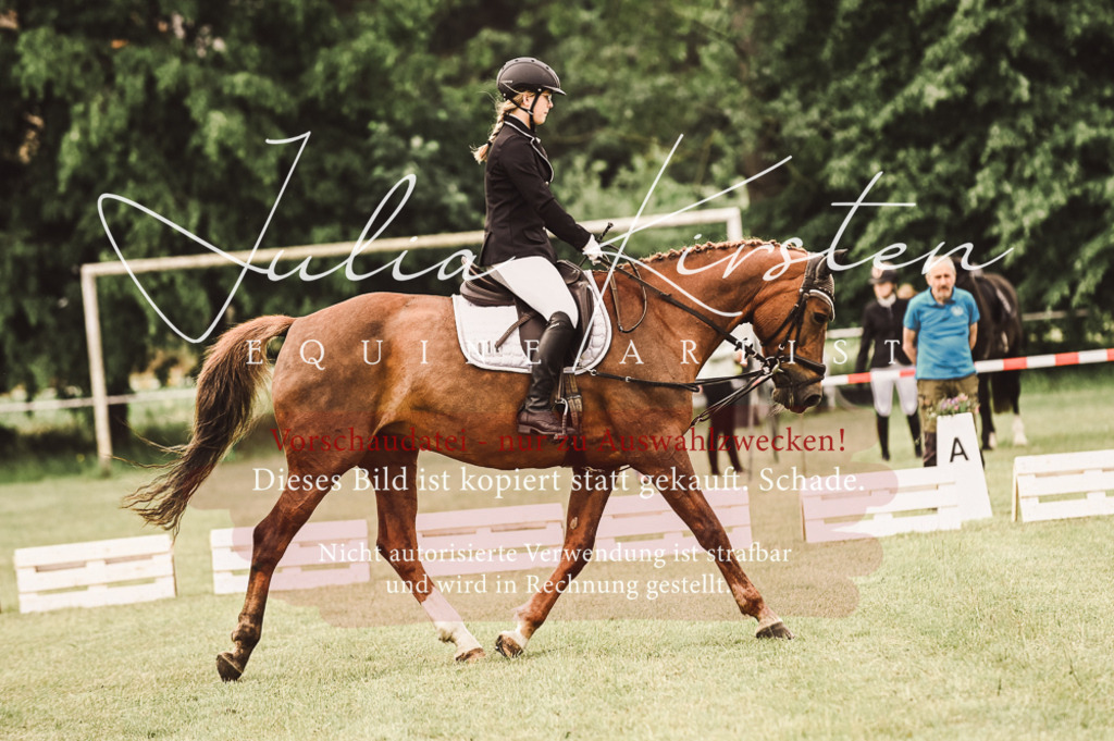 DSC_4808 | Pferde- und Turnierfotografie in Westsachsen. Pferdeportraits, Auftragszeichnungen und intuitive Kunst.