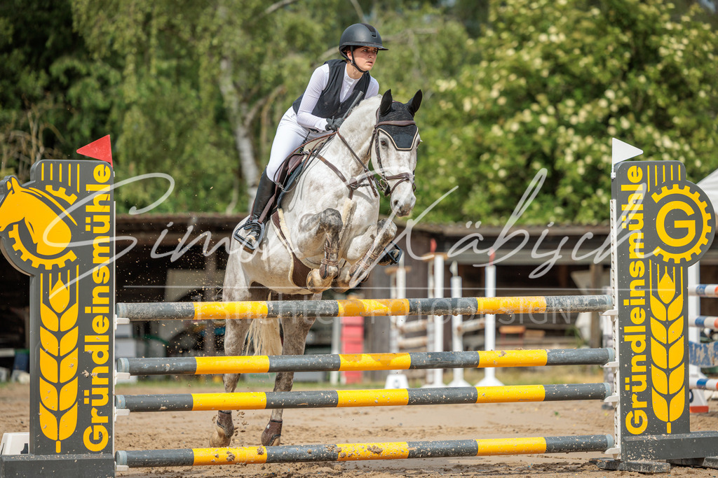 20260530-_3LI2449 | Tierfotografie Pferde, Hunde, Katzen, Haustiere.
Turnierfotografie Reitturniere, Reiten, Springreiten, Dressur in Hanau, dem Main-Kinzig-Kreis und dem Rhein-Main- Gebiet um Frankfurt