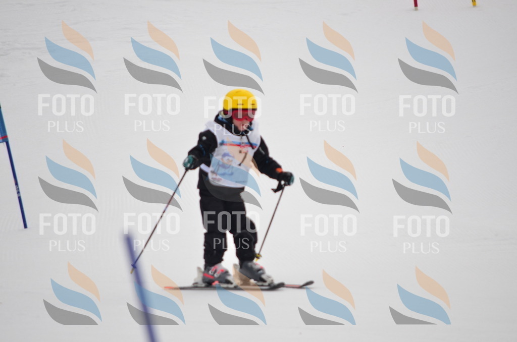 C0115 | holidayphoto