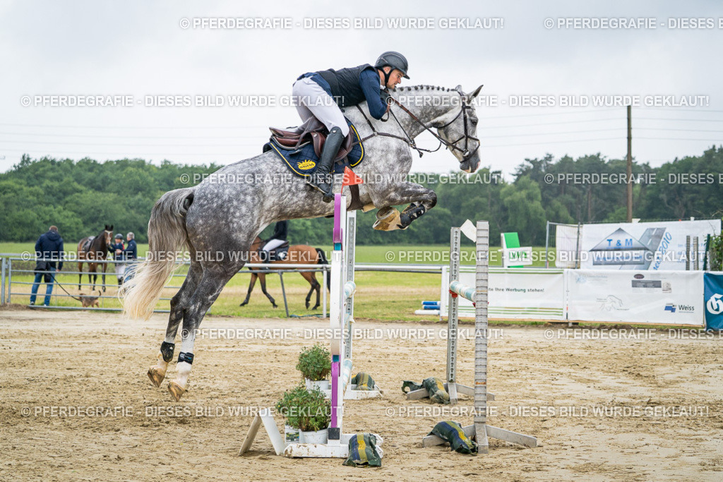 DSC02094 | Pferdegrafie