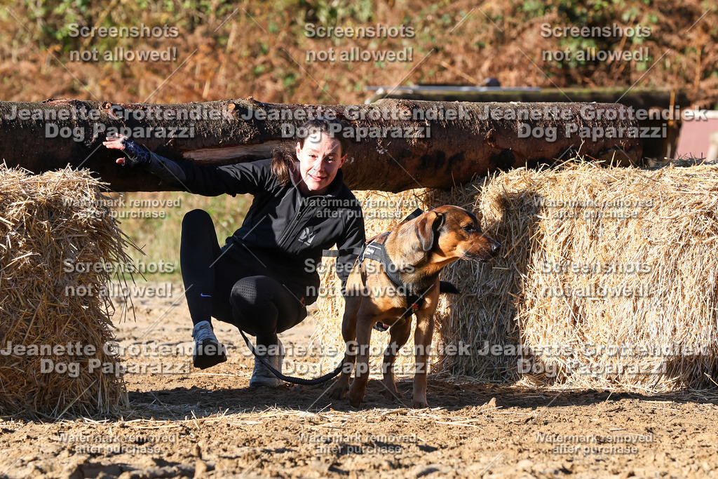 Dog Paparazzi - Strongdog 10-25-1450 | Dog Paparazzi Jeanette Grottendiek Fotografie & Videografie - Realisiert mit Pictrs.com