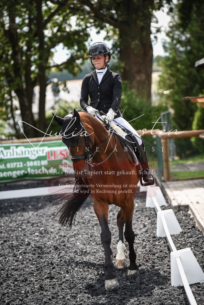 DSC_4746 | Pferde- und Turnierfotografie in Westsachsen. Pferdeportraits, Auftragszeichnungen und intuitive Kunst.