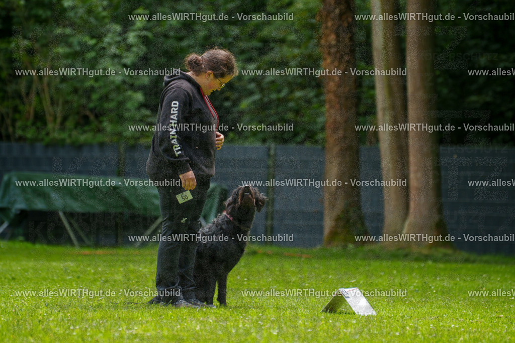 @allesWIRTHgut_Tierfotografie - www.allesWIRTHgut.de - 7R500747 | Professionelle Tierfotografie in Mönchengladbach von Daniel Wirth (allesWIRTHgut). Liebevolle & natürliche Bilder von Hunden & Katzen für unvergessliche Erinnerungen.