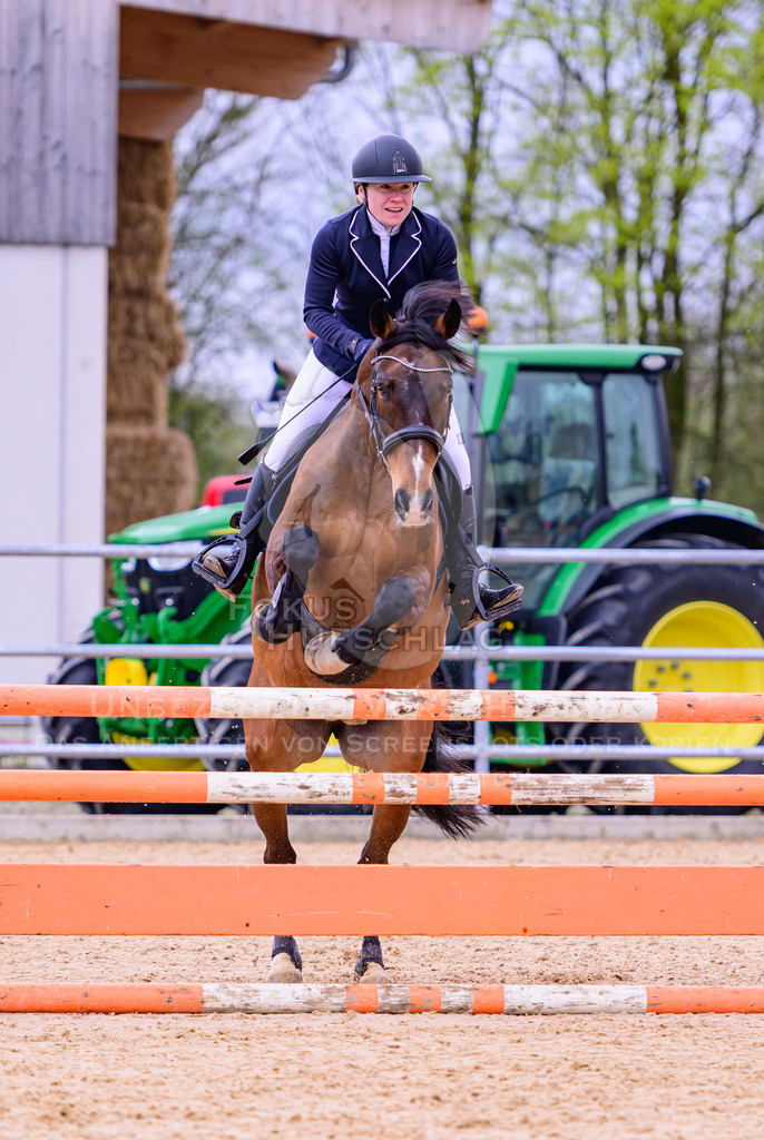 12042026-Mammendorf-Prfg39-0172 | Fokus Hufschlag Fotografie - Realisiert mit Pictrs.com