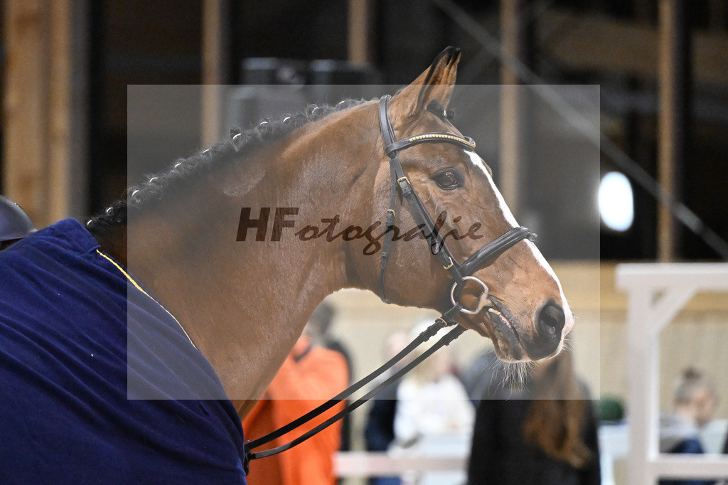 Sanvaro_5251047 | hf-fotografie - Realisiert mit Pictrs.com