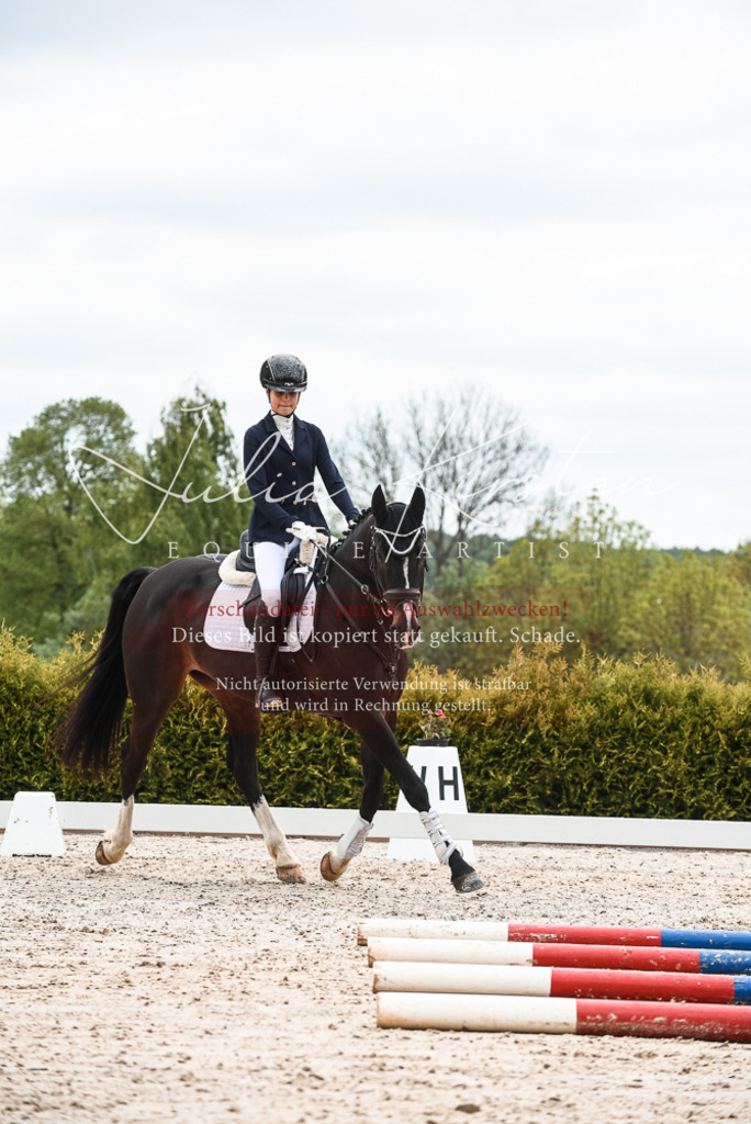 20230518_JK-Röhrsdorf-10-462 | Pferde- und Turnierfotografie in Westsachsen. Pferdeportraits, Auftragszeichnungen und intuitive Kunst.