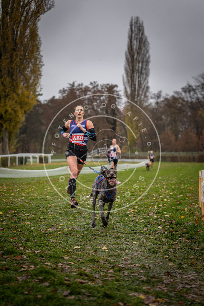 CaniXpix_DV3A9058 | Hundefotografie, Tierfotograf, Pfotenfotografie, Fotoshooting Hund, Hunde Portrait, Hundesport, Hundeportraits, Heideshooting, Hunde, Sportfotograf, Hundefotograf, Turnierhundsport, THS,  - Realisiert mit Pictrs.com