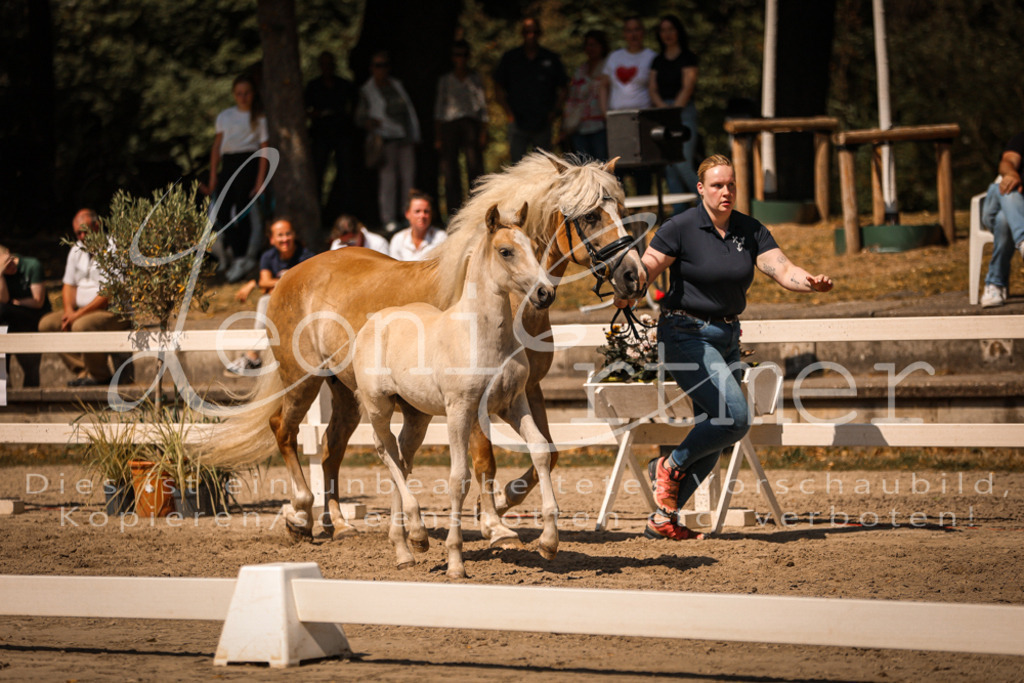 06.DoH00115 | Leoni Ertmer Photography - Realisiert mit Pictrs.com