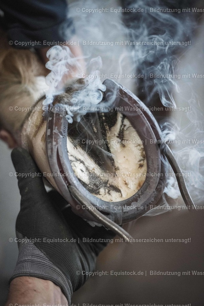 20190711_Hufschmied_0012 | Foto: Thomas Hartig