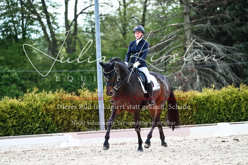20230513_JK-Röhrsdorf-10-0948 | Pferde- und Turnierfotografie in Westsachsen. Pferdeportraits, Auftragszeichnungen und intuitive Kunst.