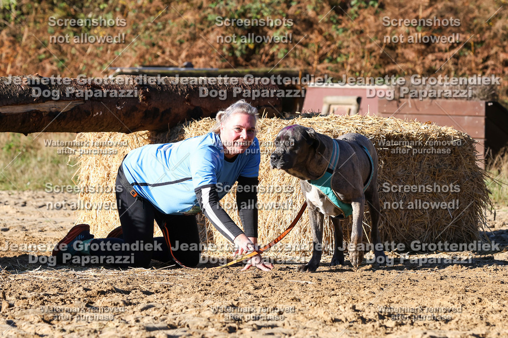 Dog Paparazzi - Strongdog 10-25-1617 | Dog Paparazzi Jeanette Grottendiek Fotografie & Videografie - Realisiert mit Pictrs.com