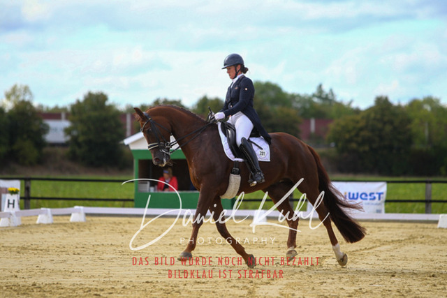 DKP44468 | Turniersportfotografie; Pferdefotografie; Dressurfotografie