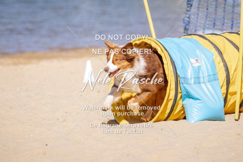NR__0813 | nelerasche