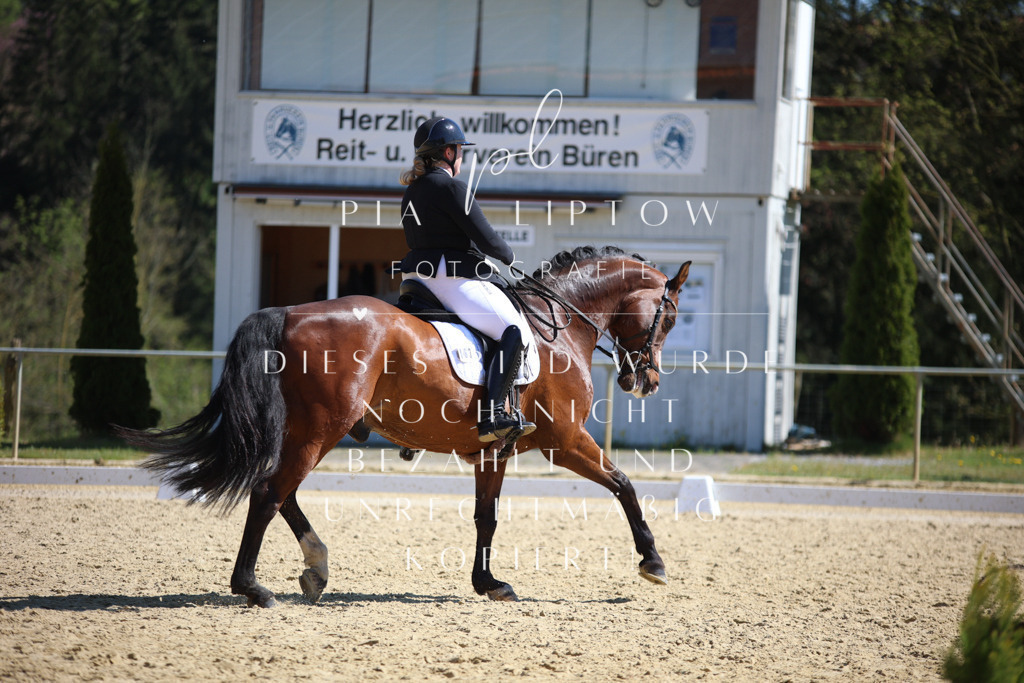 IMGT7791 | pl-fotografie