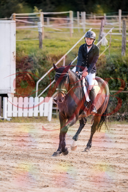 2026_10_03_Siefer-Hof_144106_Z81_13113388 | Professionelle Reitsport-, Turnier- und Eventfotografie von Robert Broda. Galerien mit ausgewählten und bearbeiteten Bildern direkt online ansehen und bestellen.