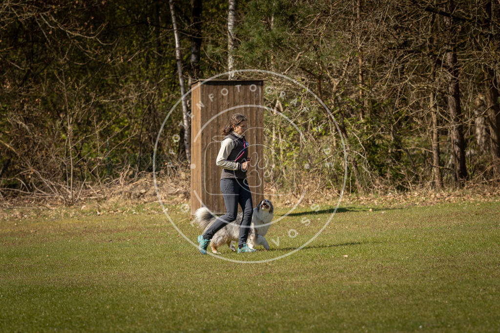 Pfotenfotografie_DV3A0517 | Hundefotografie, Tierfotograf, Pfotenfotografie, Fotoshooting Hund, Hunde Portrait, Hundesport, Hundeportraits, Heideshooting, Hunde, Sportfotograf, Hundefotograf, Turnierhundsport, THS,  - Realisiert mit Pictrs.com