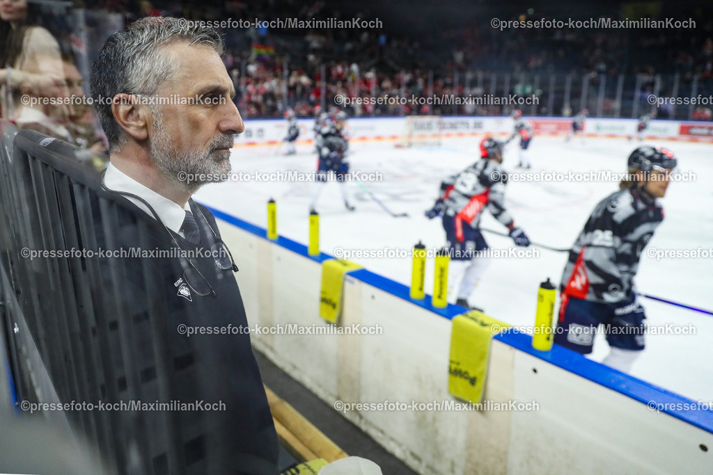KoeDEL14032401003 | 14.03.2024, Köln, Eishockey, Penny DEL, Pre-Playoffs Spieltag 3, Lanxess-Arena, Kölner Haie - ERC Ingolstadt: Headcoach Trainer Mark French (ERC Ingolstadt)