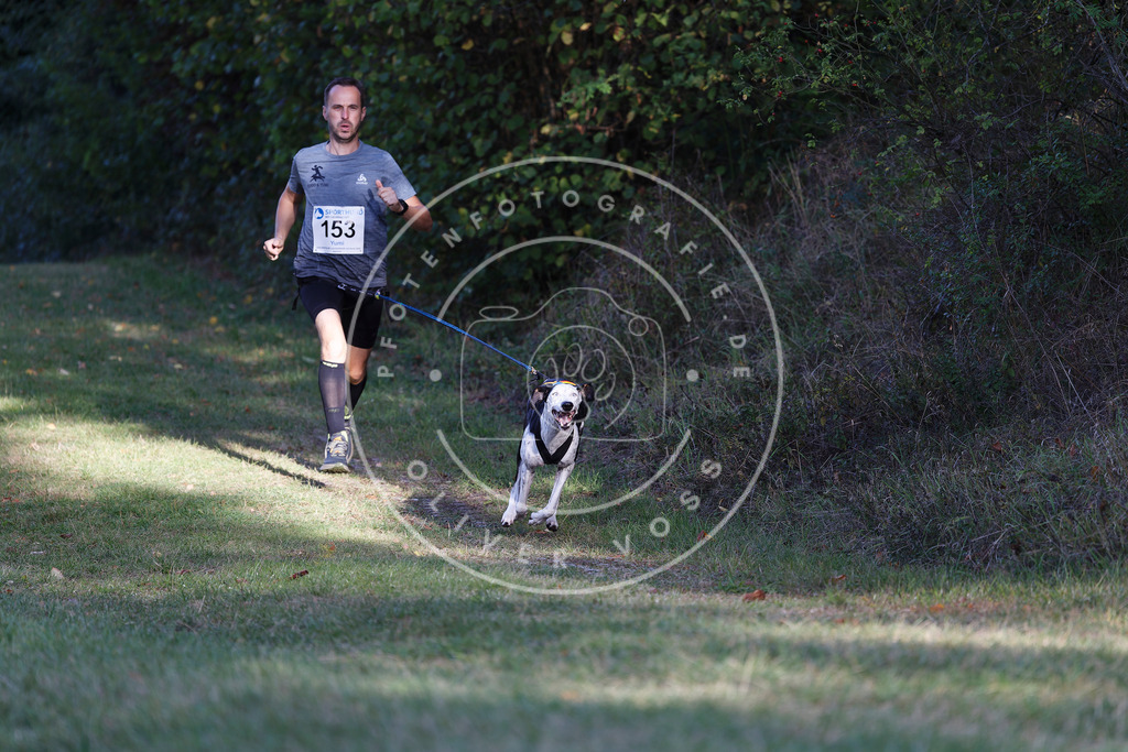 0L8A5080 | Hundefotografie, Tierfotograf, Pfotenfotografie, Fotoshooting Hund, Hunde Portrait, Hundesport, Hundeportraits, Heideshooting, Hunde, Sportfotograf, Hundefotograf, Turnierhundsport, THS,  - Realisiert mit Pictrs.com