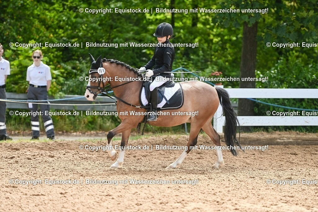 20230716_10-3_Reiter-WB Schritt - Trab - Galopp_0141 | equistock