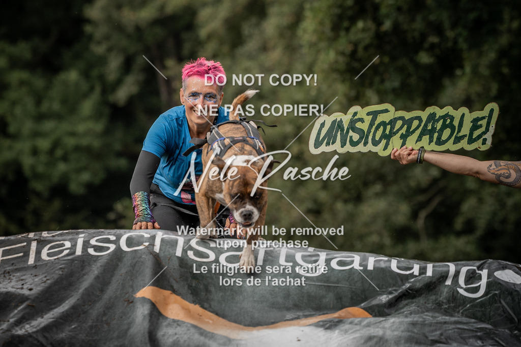 nelerasche_Wingst_Sa1300-1330_45 | nelerasche