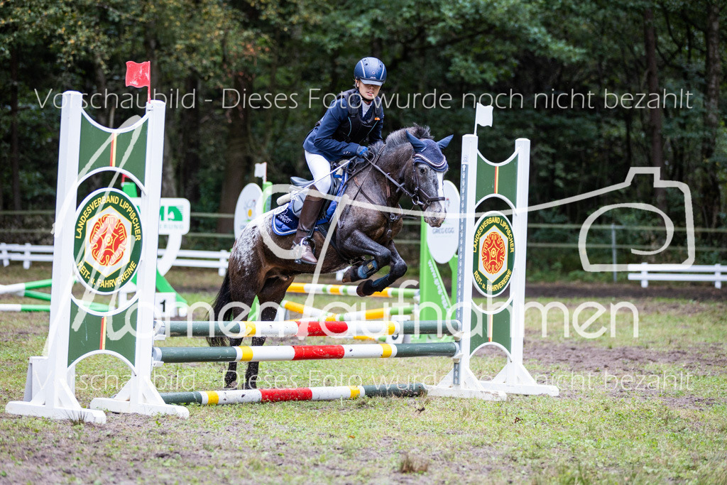 HB-Springreiter-025 | MomenTaufnahmen Pferdesportfotos