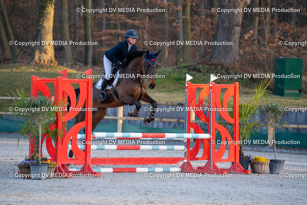 DSC-282 | dv-media-shop - Realisiert mit Pictrs.com