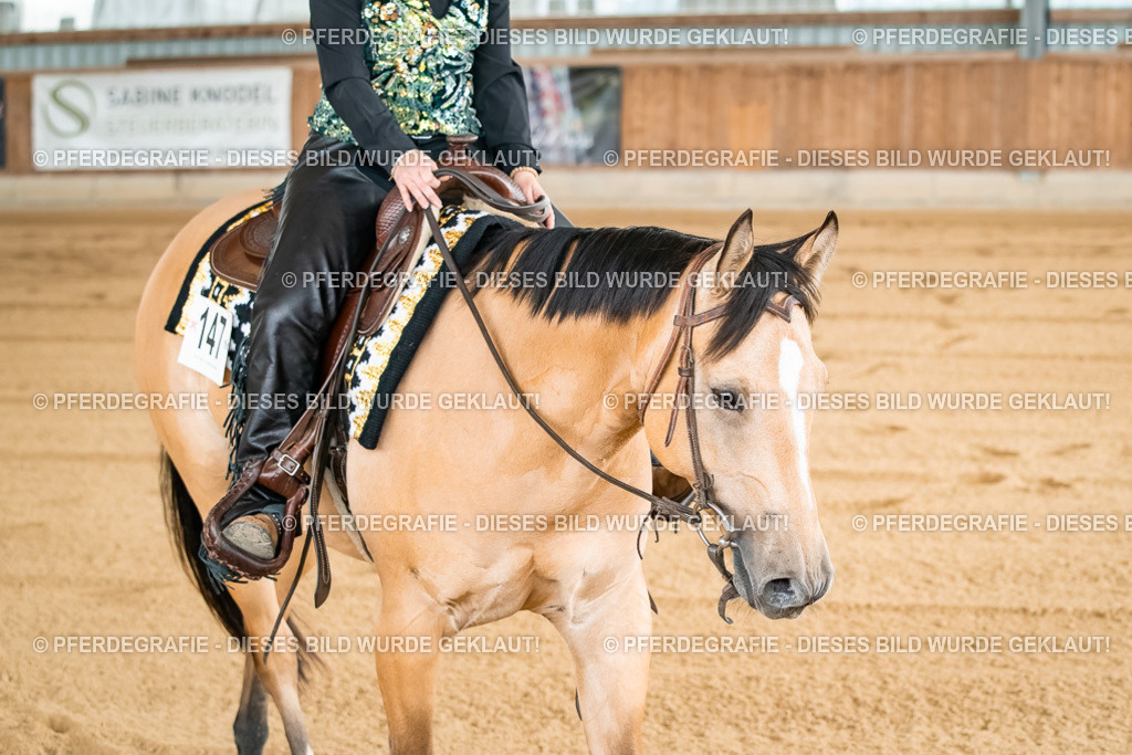 DSC02988 | Pferdegrafie