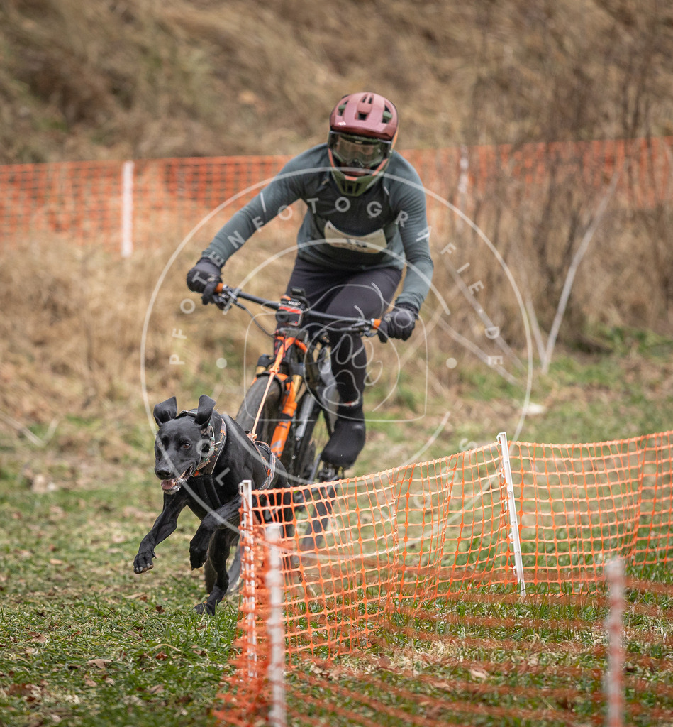 Pfotenfotografie_DV3A6858 | Hundefotografie, Tierfotograf, Pfotenfotografie, Fotoshooting Hund, Hunde Portrait, Hundesport, Hundeportraits, Heideshooting, Hunde, Sportfotograf, Hundefotograf, Turnierhundsport, THS,  - Realisiert mit Pictrs.com