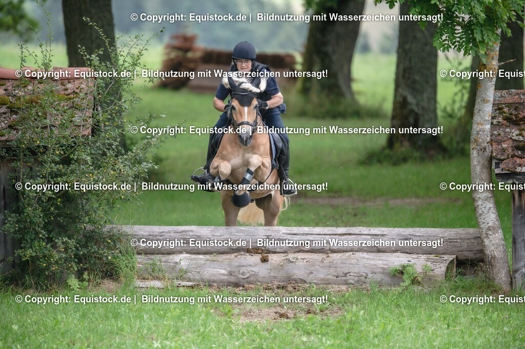 20250726_Vielseitigkeitslehrgang-Marbach_0516 | Foto: Thomas Hartig