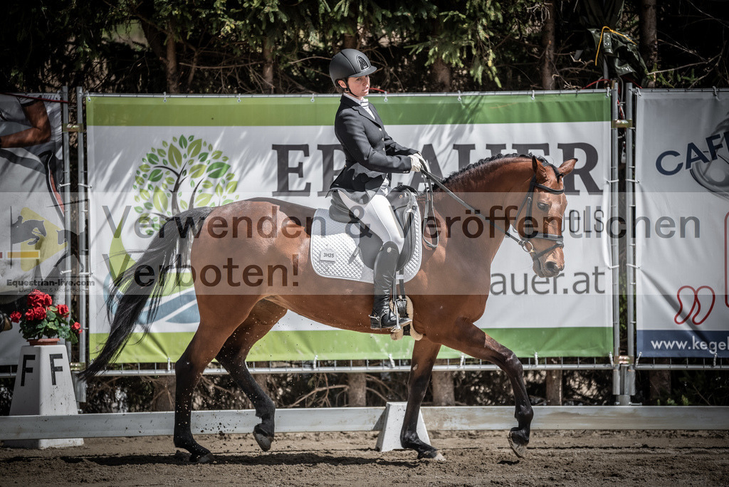 DSC_2345 | equestrian-live-com