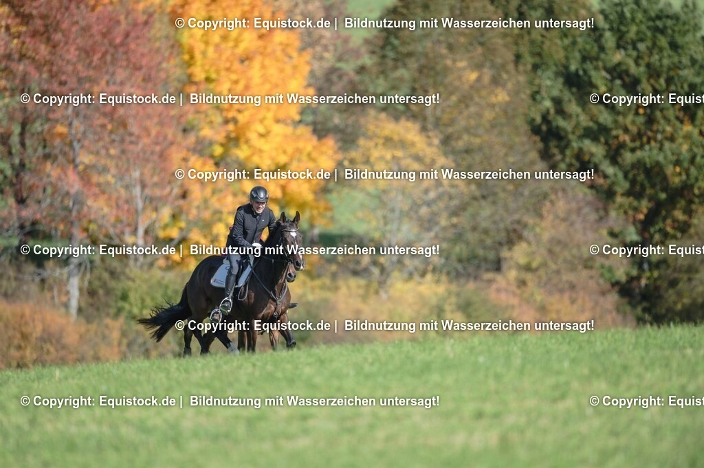 20251011_Jagd-Marbach_0334 | Foto: Thomas Hartig