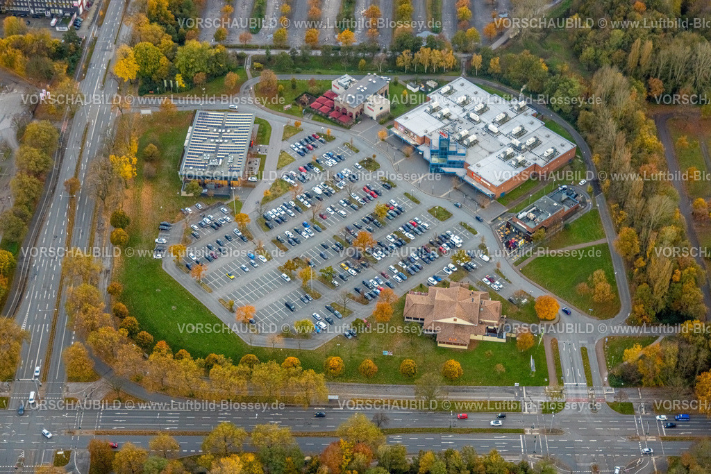 Gelsenkirchen231103191 | Luftbild, Apollo Cinemas Multiplex an der Willy-Brandt-Allee mit Parkplätzen, Cafe Del Sol und L'Osteria Gastronomie, umgeben von herbstlichen Laubbäumen, Erle, Gelsenkirchen, Ruhrgebiet, Nordrhein-Westfalen, Deutschland