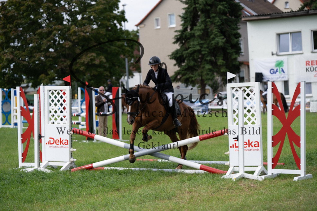 A7V03856 | Pferdefotograf