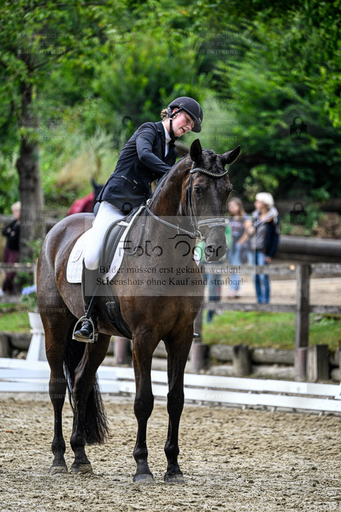 Bissendorfer Reitertage | Entdecke hochwertige Reitturnierfotos von Foto Oger. Professionell, emotional und authentisch – jetzt Lieblingsmomente im Shop bestellen. - Realisiert mit Pictrs.com