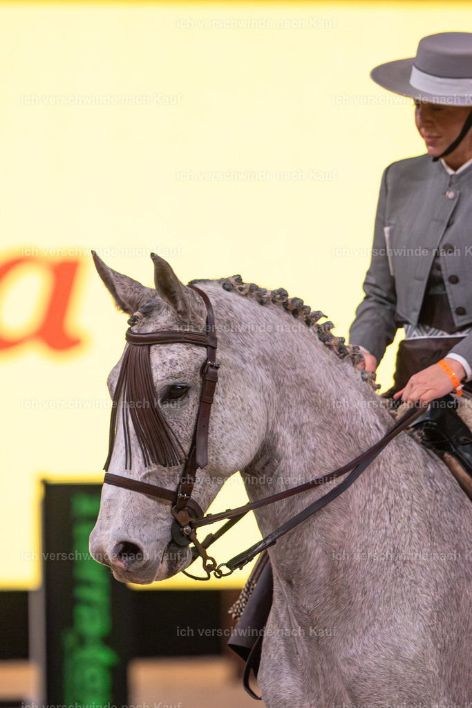 JoseraCup-24 | working equitationturnier fotograf videograf stoibphotography marixx film working equitation deutschland reitsport turnierfotografie eventfotografie equestrian events