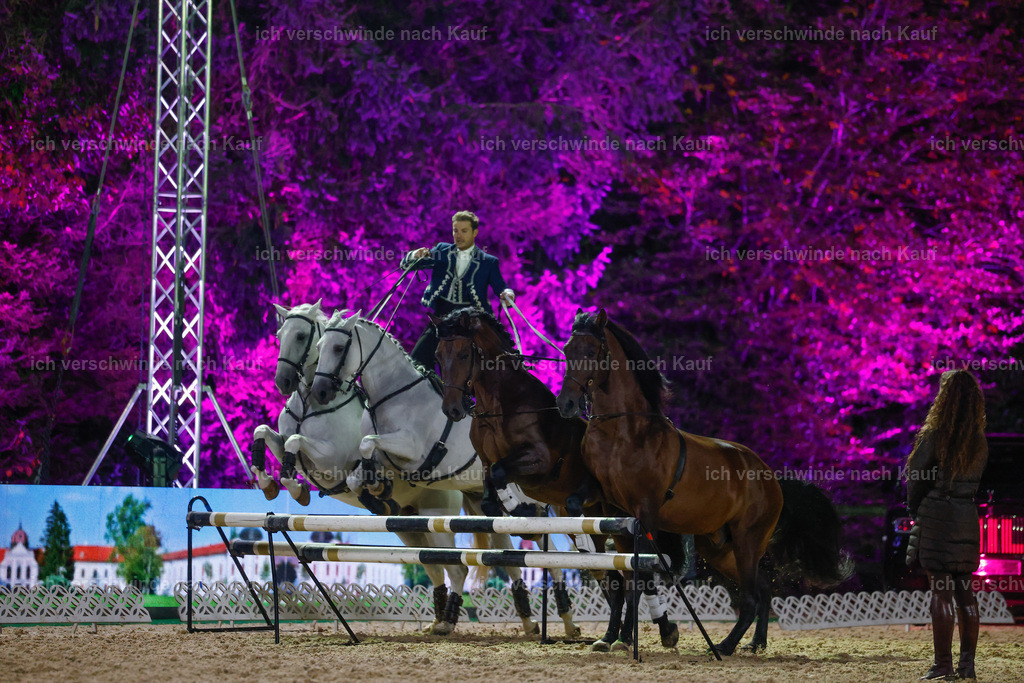 FHClassics-390 | working equitationturnier fotograf videograf stoibphotography marixx film working equitation deutschland reitsport turnierfotografie eventfotografie equestrian events