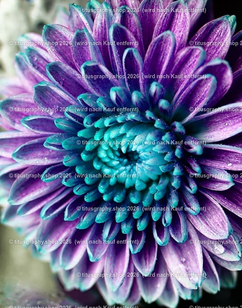 titusgraphy_P7159401-vz-ln_pe-10 | titusgraphy-shop: Geschenkideen mit Qualitätsfotos. titusgraphy-shop: gift ideas with quality photos. titusgraphy-shop: idées cadeaux avec photos de qualité.  - Realisiert mit Pictrs.com