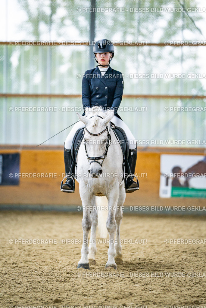 DSC04216 | Pferdegrafie