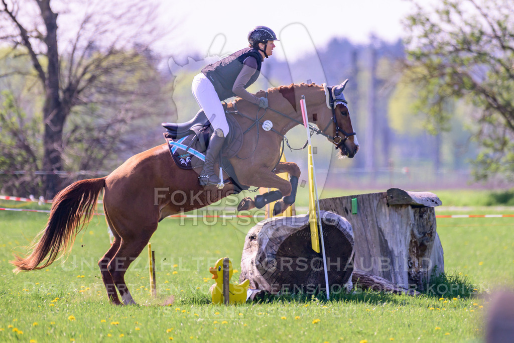 18042026-Gernlinden-03-0325 | Fokus Hufschlag Fotografie - Realisiert mit Pictrs.com